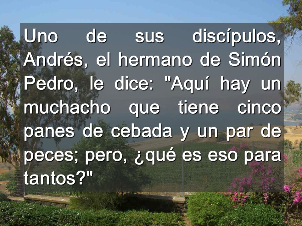 Uno de sus discípulos, Andrés, el hermano de Simón Pedro, le dice: Aquí hay un muchacho que tiene cinco panes de cebada y un par de peces; pero, ¿qué es eso para tantos