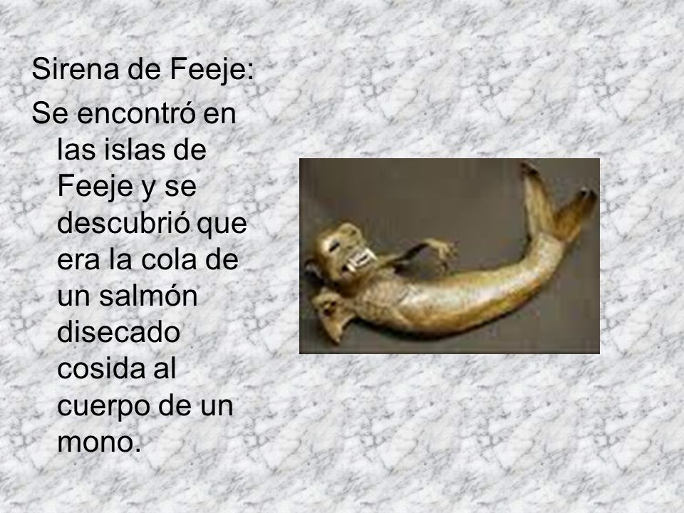 Sirena de Feeje: Se encontró en las islas de Feeje y se descubrió que era la cola de un salmón disecado cosida al cuerpo de un mono.
