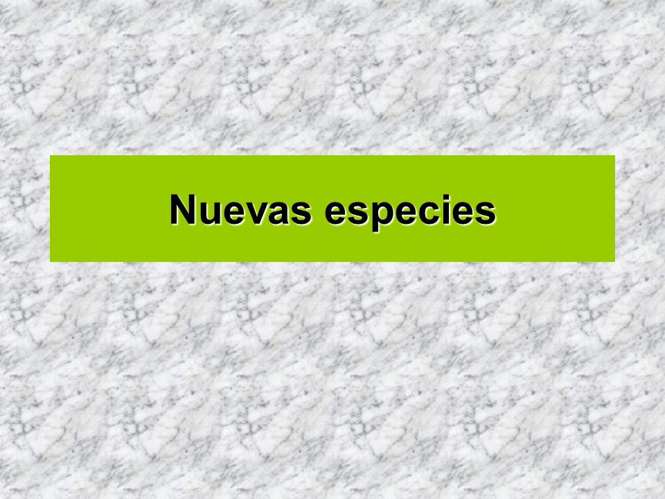 Nuevas especies