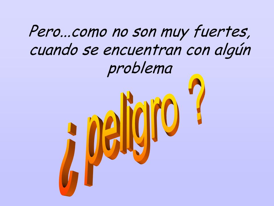 Pero...como no son muy fuertes, cuando se encuentran con algún problema