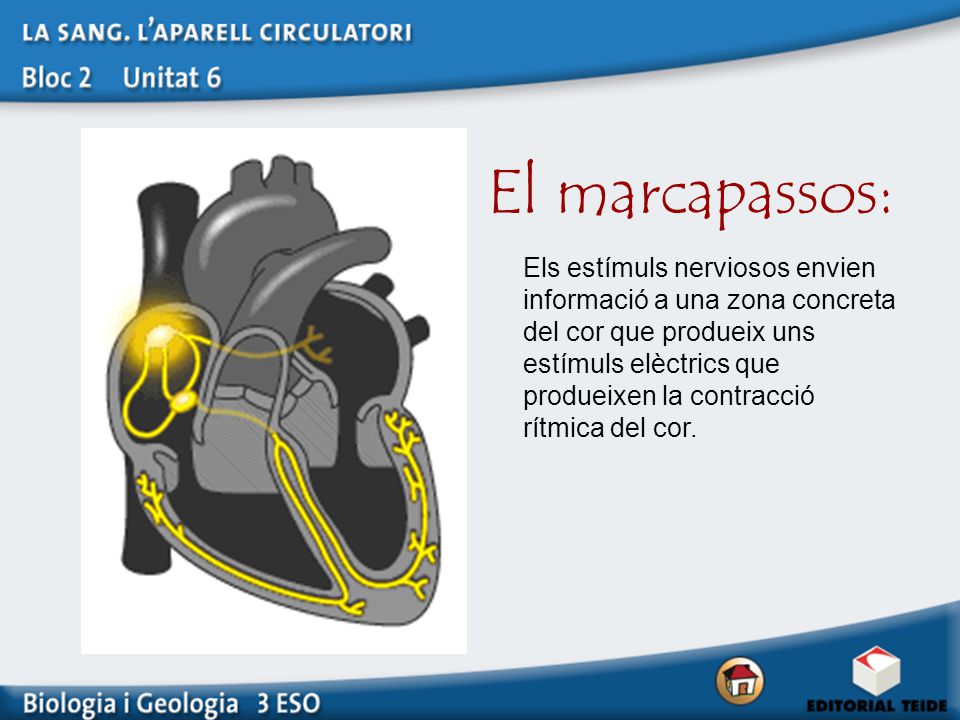 El marcapassos: