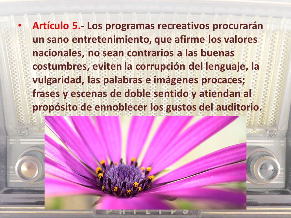 Artículo 5.- Los programas recreativos procurarán un sano entretenimiento, que afirme los valores nacionales, no sean contrarios a las buenas costumbres, eviten la corrupción del lenguaje, la vulgaridad, las palabras e imágenes procaces; frases y escenas de doble sentido y atiendan al propósito de ennoblecer los gustos del auditorio.