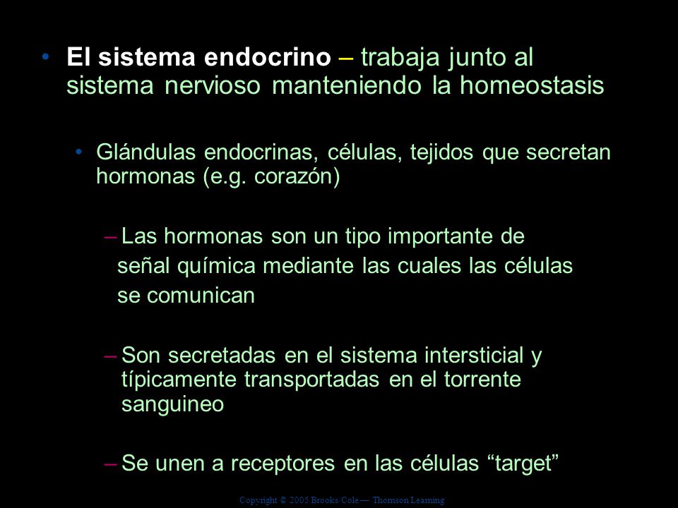 El sistema endocrino – trabaja junto al sistema nervioso manteniendo la homeostasis