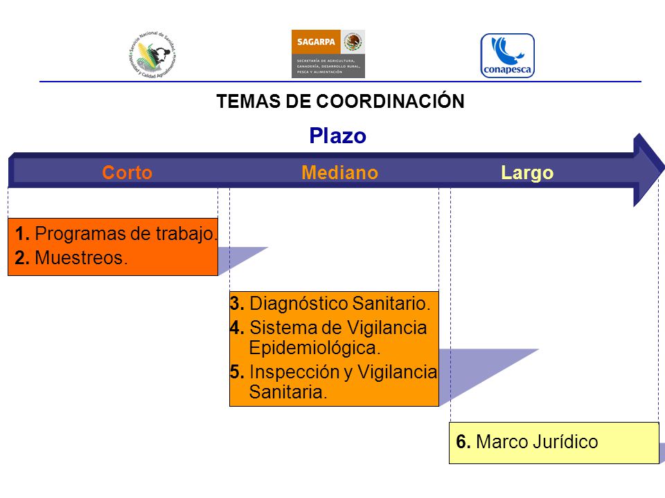 Plazo TEMAS DE COORDINACIÓN Corto Mediano Largo