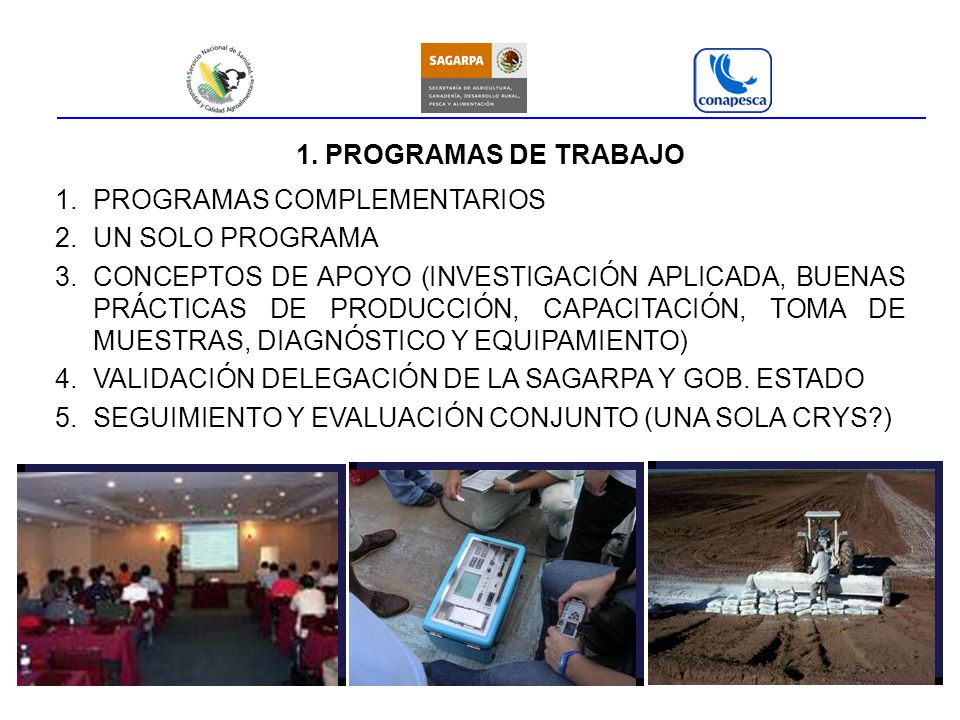 1. PROGRAMAS DE TRABAJO PROGRAMAS COMPLEMENTARIOS. UN SOLO PROGRAMA.