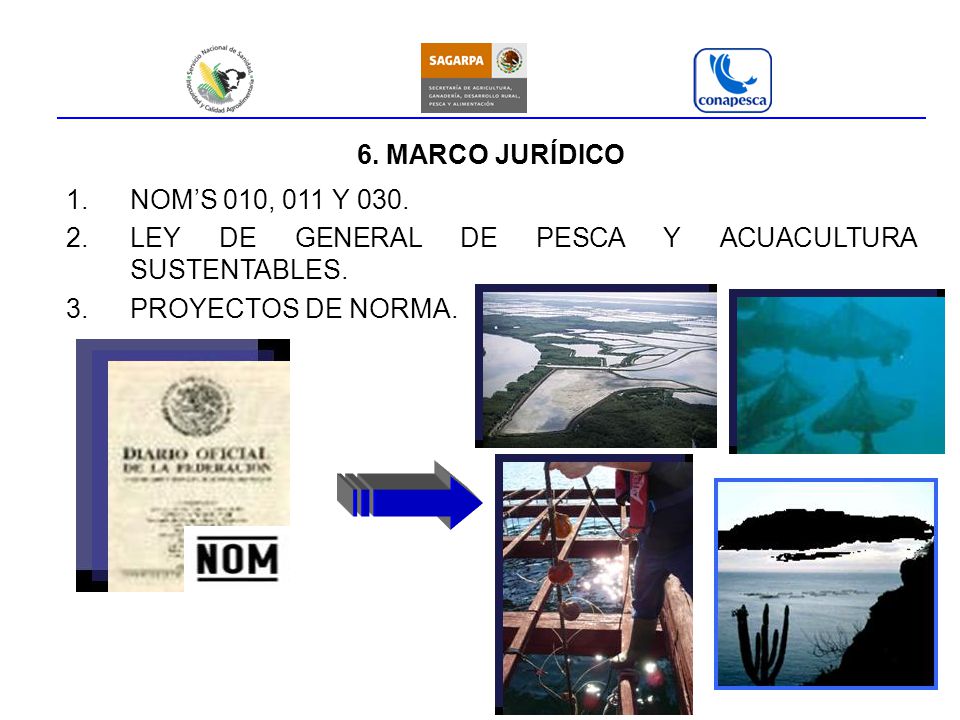 6. MARCO JURÍDICO NOM’S 010, 011 Y 030. LEY DE GENERAL DE PESCA Y ACUACULTURA SUSTENTABLES.