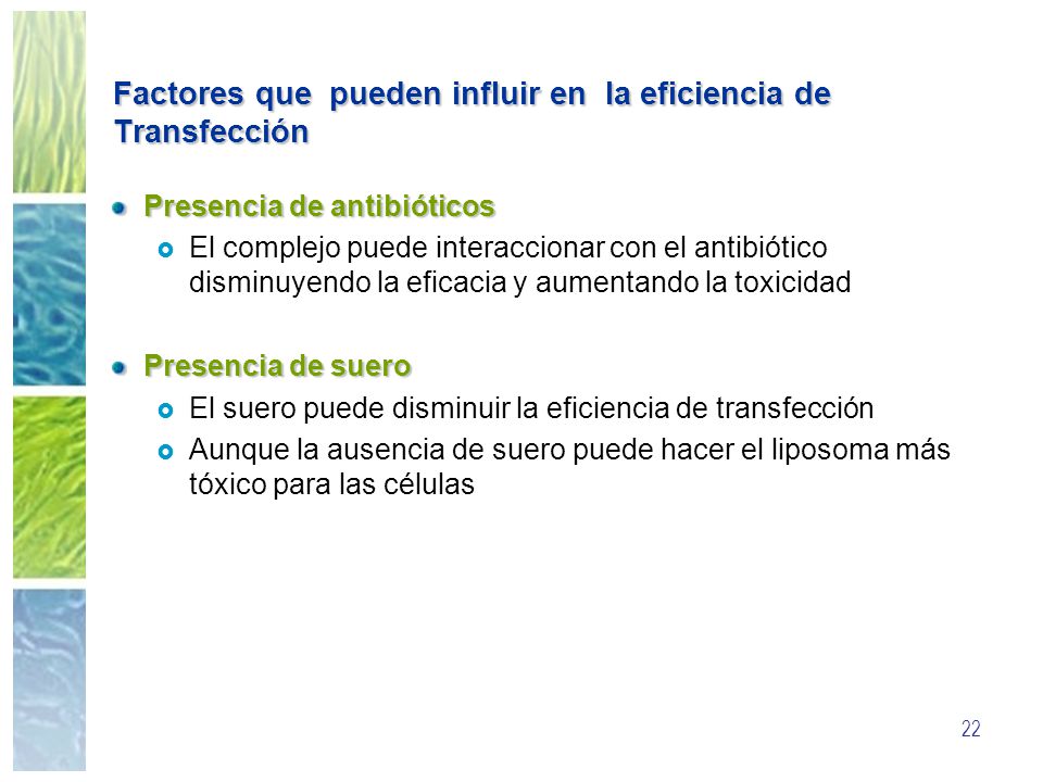Factores que pueden influir en la eficiencia de Transfección