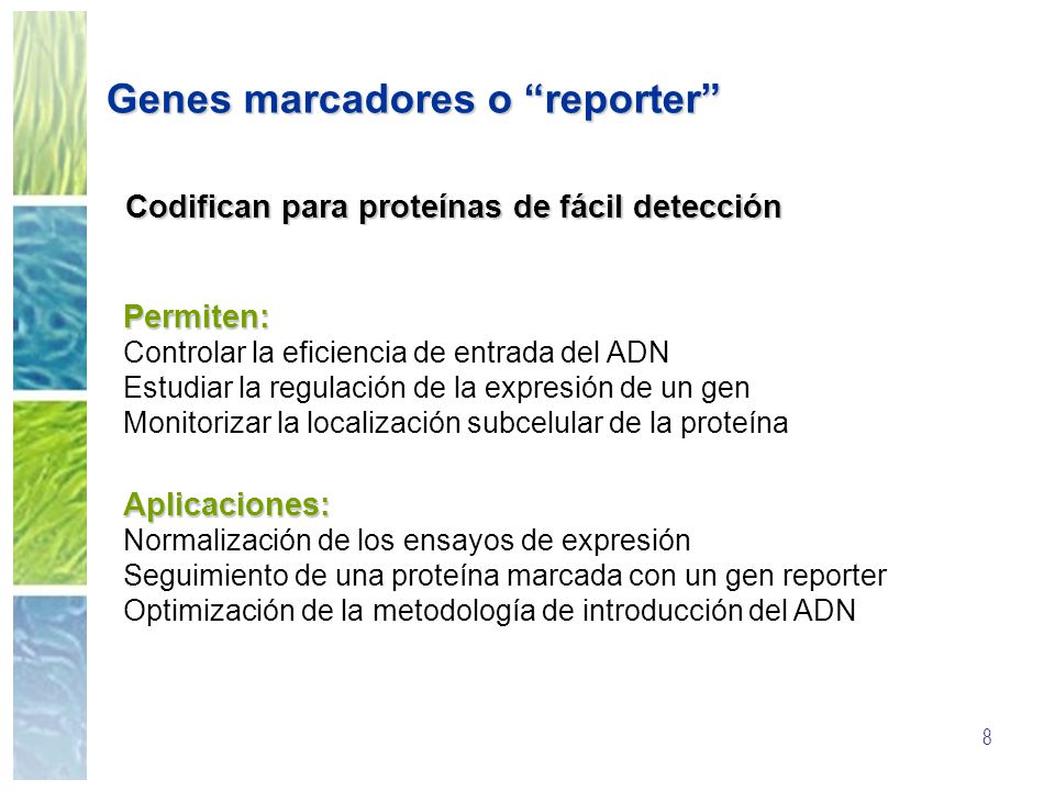 Genes marcadores o reporter
