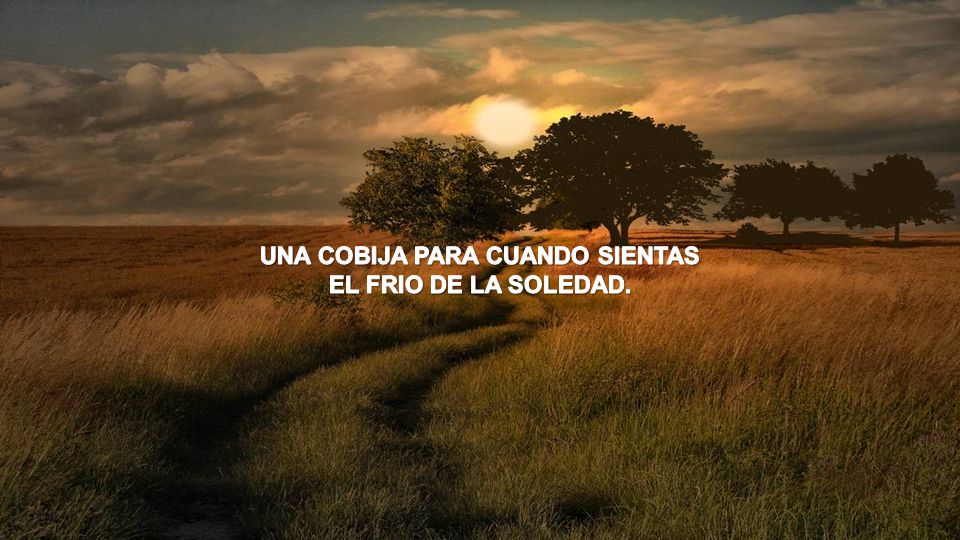 UNA COBIJA PARA CUANDO SIENTAS EL FRIO DE LA SOLEDAD.