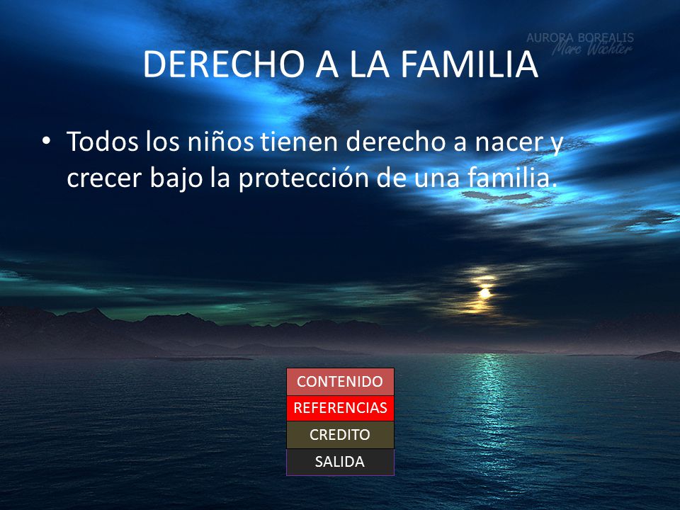 DERECHO A LA FAMILIA Todos los niños tienen derecho a nacer y crecer bajo la protección de una familia.