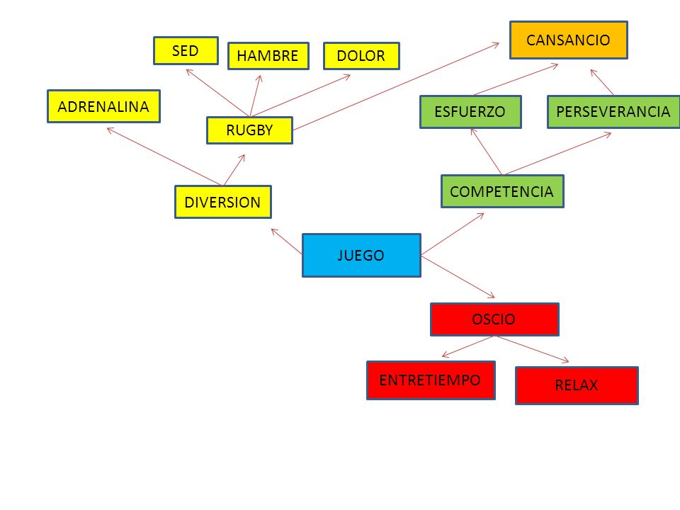 CANSANCIO SED. HAMBRE. DOLOR. ADRENALINA. ESFUERZO. PERSEVERANCIA. RUGBY. COMPETENCIA. DIVERSION.