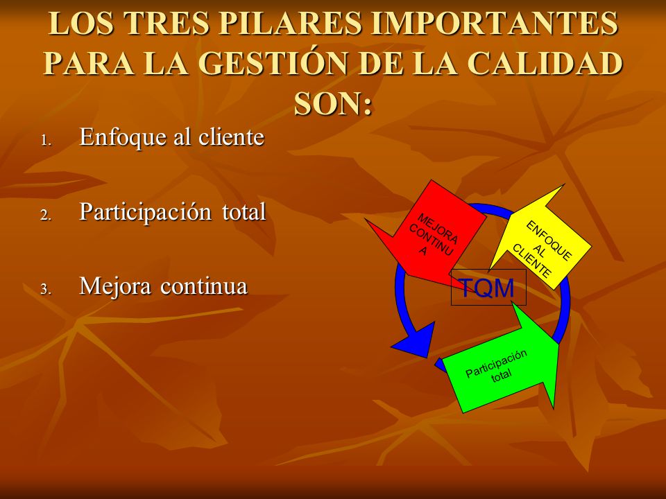 LOS TRES PILARES IMPORTANTES PARA LA GESTIÓN DE LA CALIDAD SON: