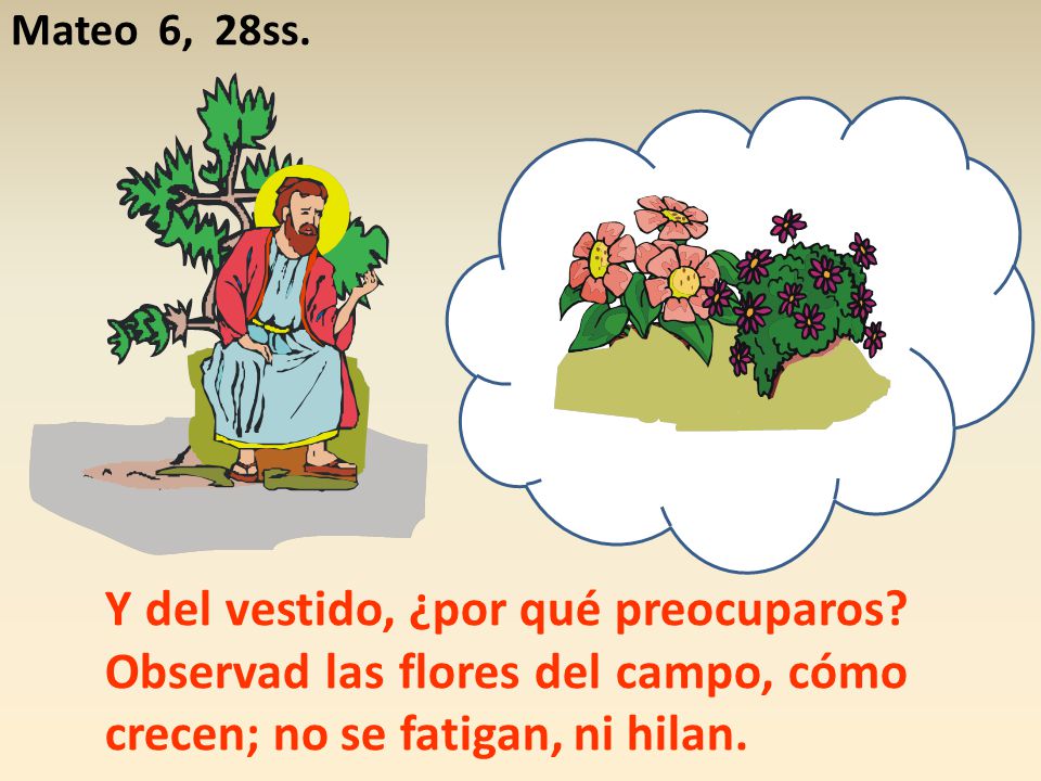 Mateo 6, 28ss. Y del vestido, ¿por qué preocuparos.