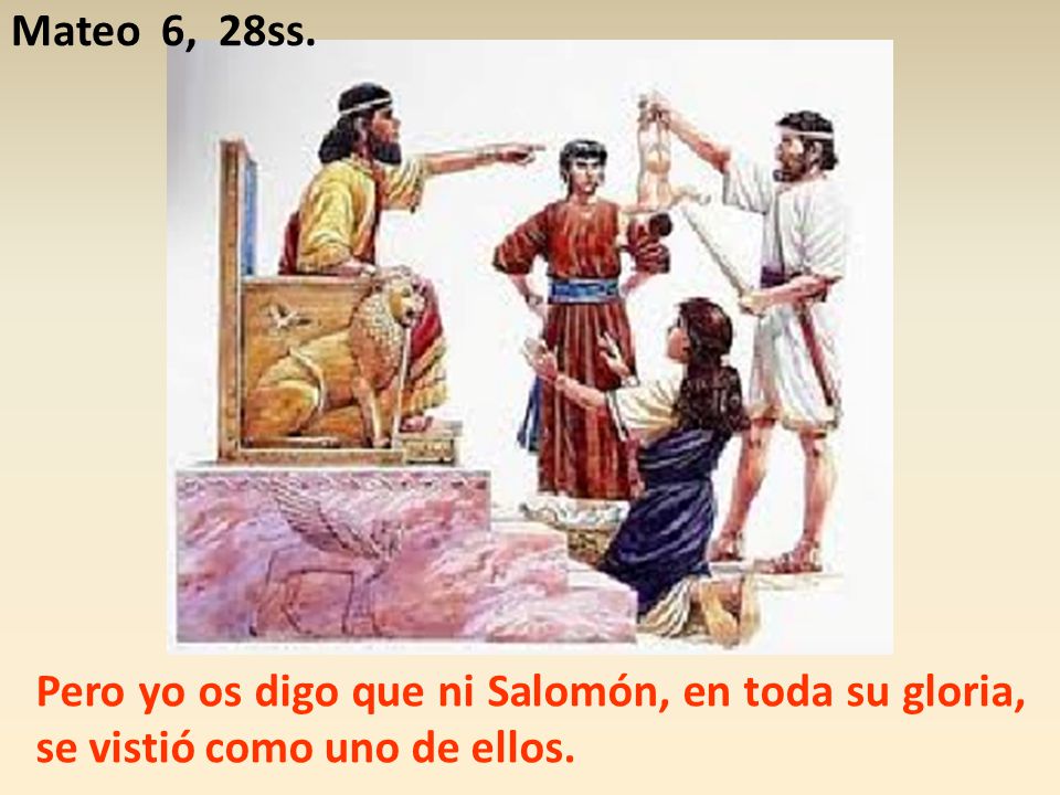 Mateo 6, 28ss. Pero yo os digo que ni Salomón, en toda su gloria, se vistió como uno de ellos.