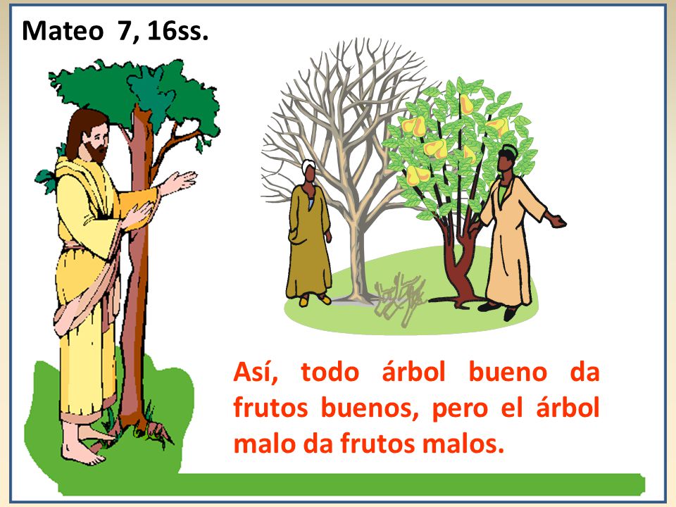 Mateo 7, 16ss. Así, todo árbol bueno da frutos buenos, pero el árbol malo da frutos malos.
