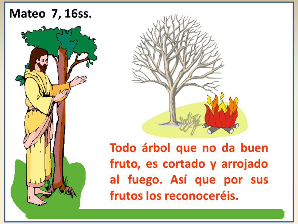 Mateo 7, 16ss. Todo árbol que no da buen fruto, es cortado y arrojado al fuego.