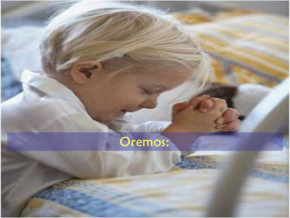 Oremos: Frase de Padre Jaimito