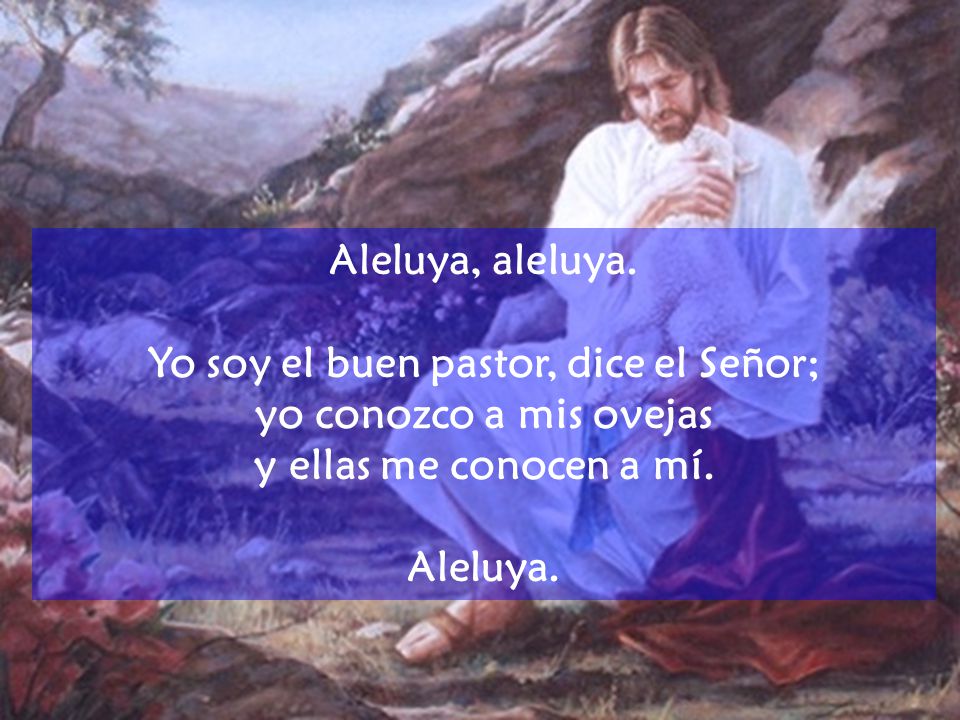Yo soy el buen pastor, dice el Señor;