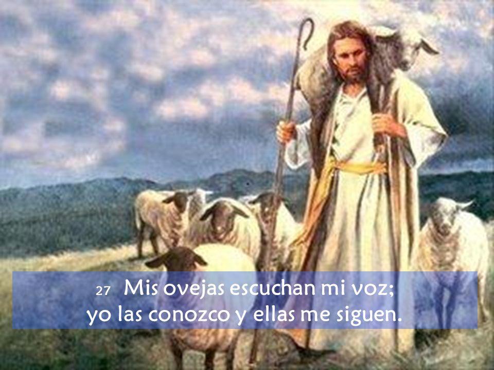 27 Mis ovejas escuchan mi voz; yo las conozco y ellas me siguen.