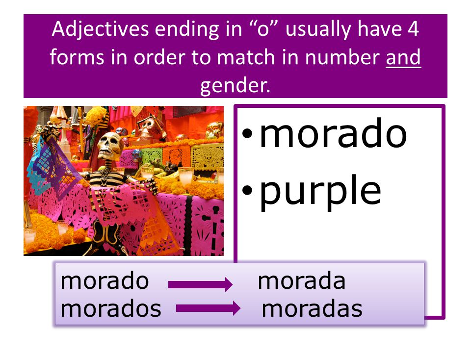 Adjectives ending in o usually have 4 forms in order to match in number and gender.