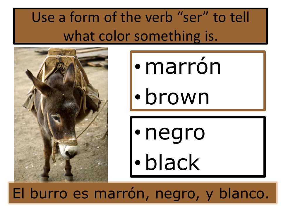 Use a form of the verb ser to tell what color something is.