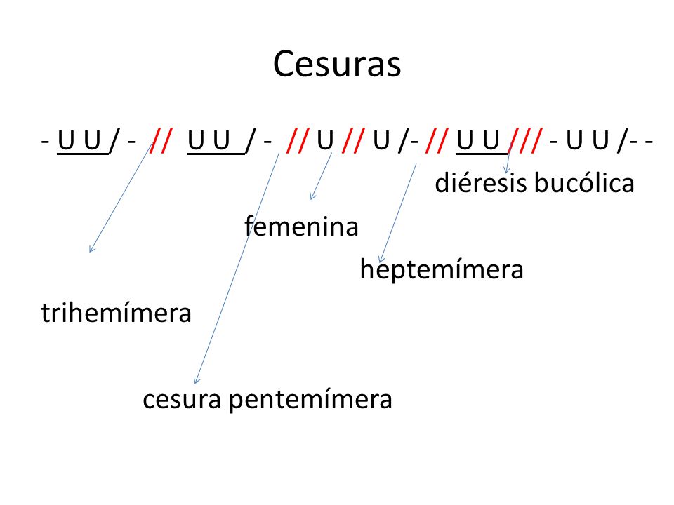 Cesuras - U U / - // U U / - // U // U /- // U U /// - U U /- - diéresis bucólica femenina heptemímera trihemímera cesura pentemímera