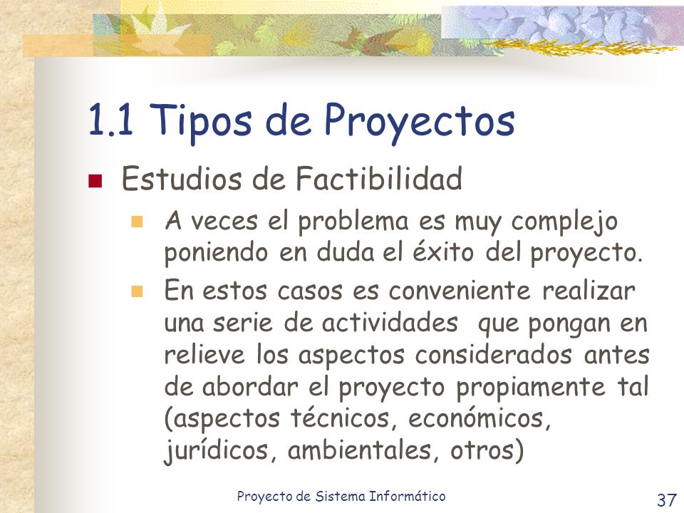 1.1 Tipos de Proyectos Estudios de Factibilidad