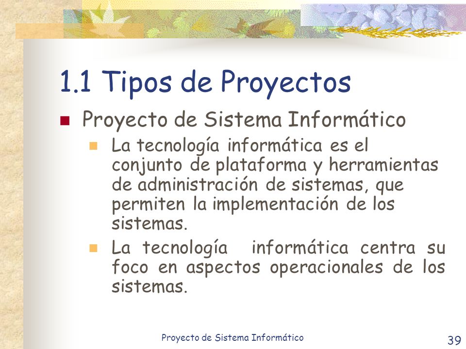 1.1 Tipos de Proyectos Proyecto de Sistema Informático