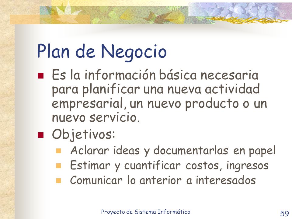 Plan de Negocio Es la información básica necesaria para planificar una nueva actividad empresarial, un nuevo producto o un nuevo servicio.