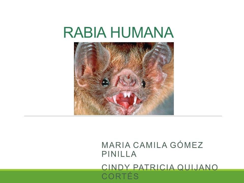 MARIA CAMILA GÓMEZ PINILLA CINDY PATRICIA QUIJANO CORTÉS