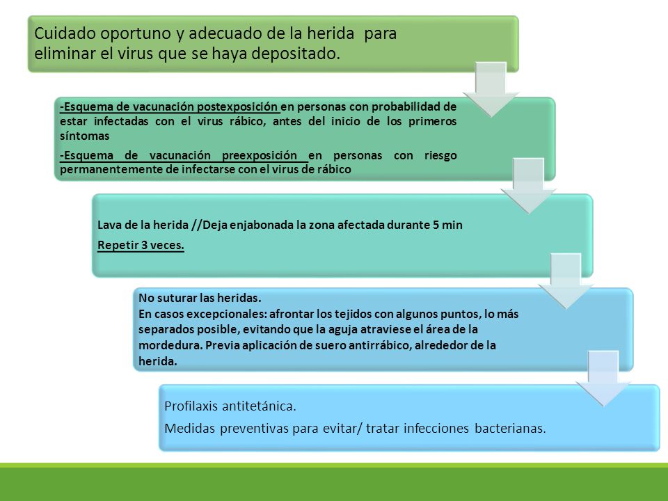 Cuidado oportuno y adecuado de la herida para eliminar el virus que se haya depositado.