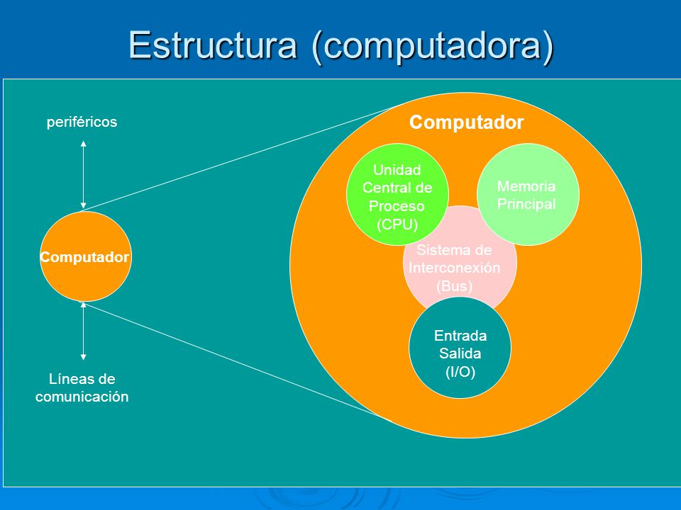 Estructura (computadora)