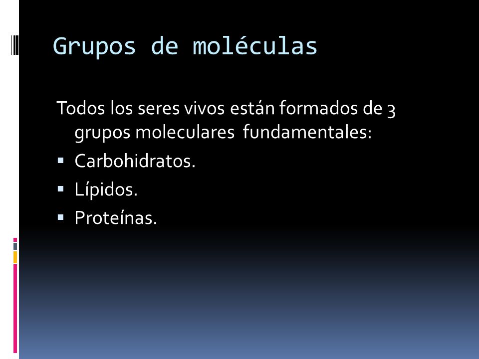 Grupos de moléculas Todos los seres vivos están formados de 3 grupos moleculares fundamentales: Carbohidratos.
