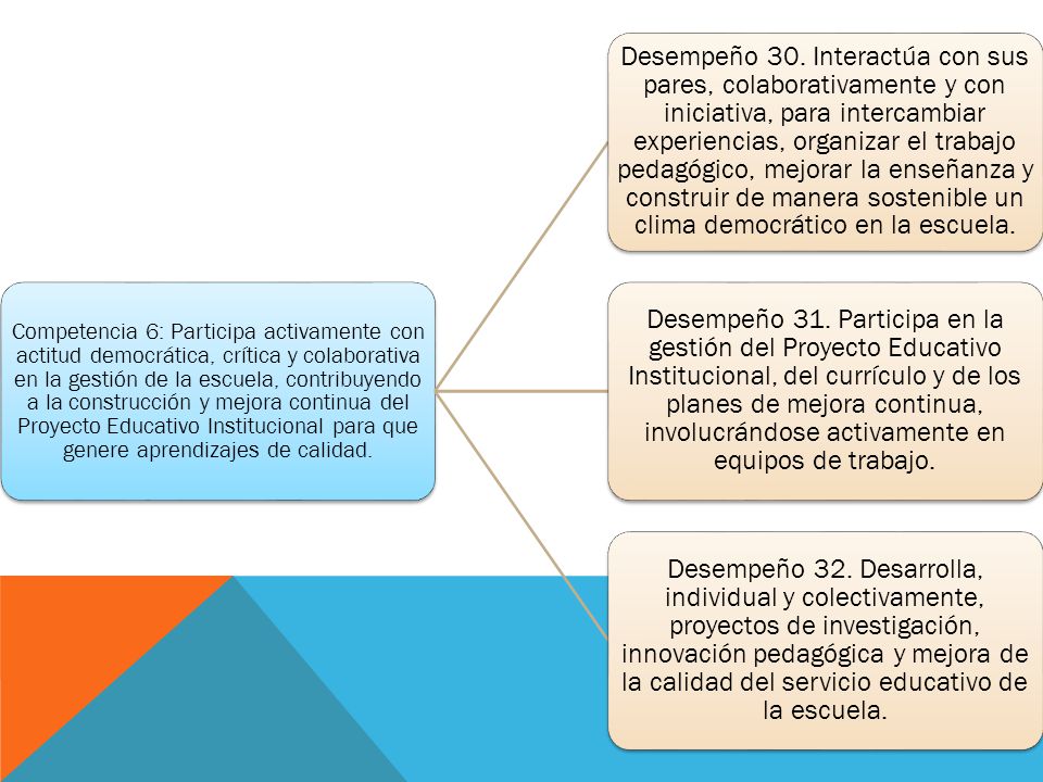 Competencia 6: Participa activamente con actitud democrática, crítica y colaborativa en la gestión de la escuela, contribuyendo a la construcción y mejora continua del Proyecto Educativo Institucional para que genere aprendizajes de calidad.