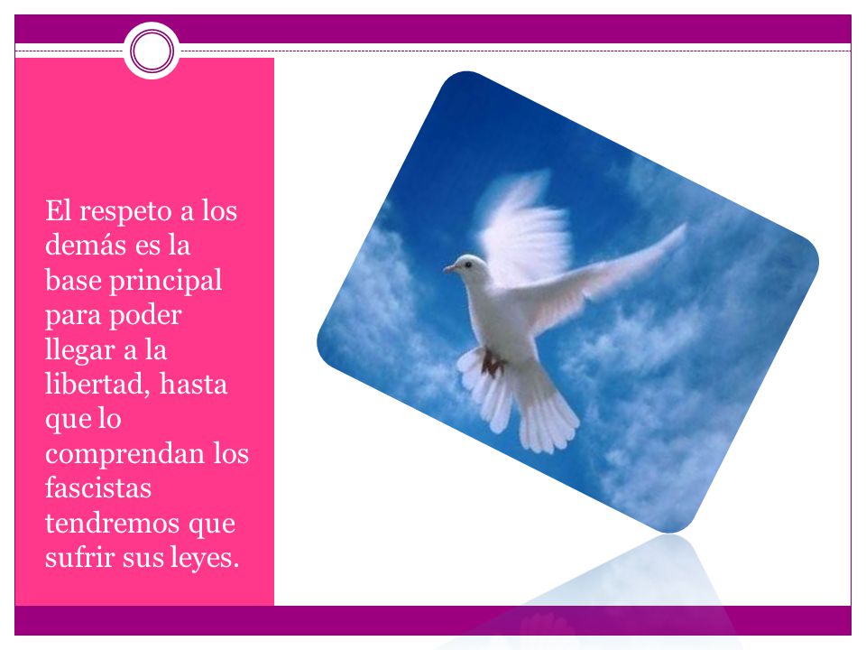 El respeto a los demás es la base principal para poder llegar a la libertad, hasta que lo comprendan los fascistas tendremos que sufrir sus leyes.