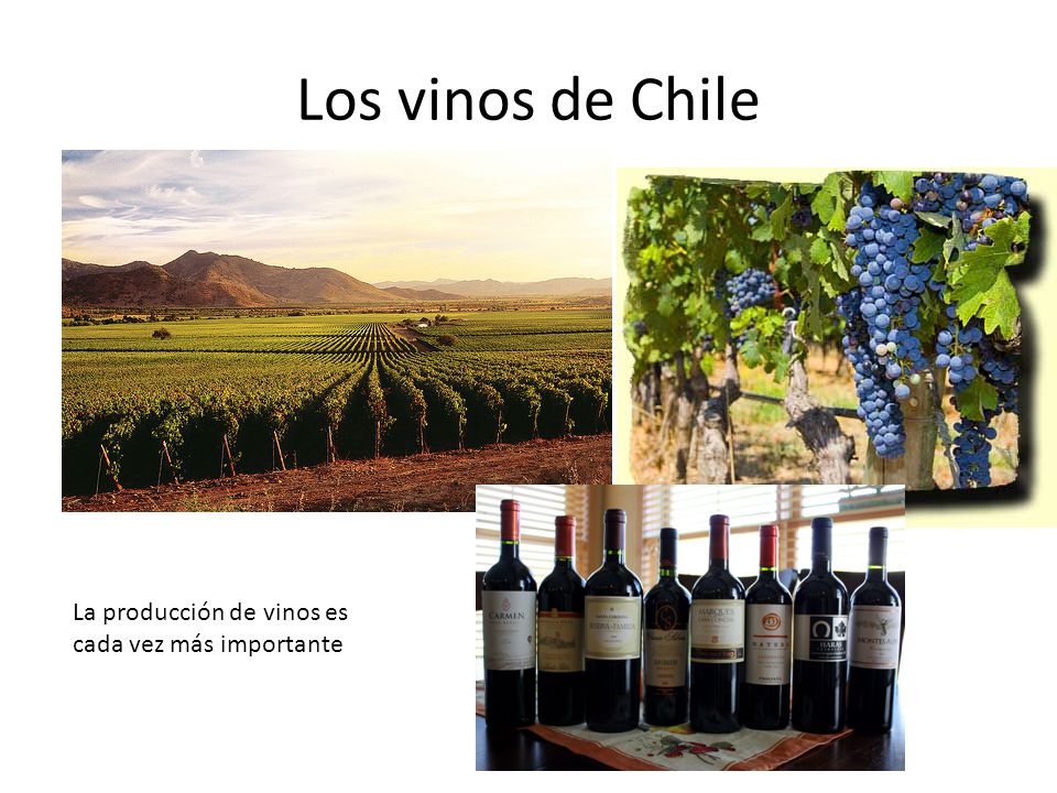 Los vinos de Chile La producción de vinos es cada vez más importante