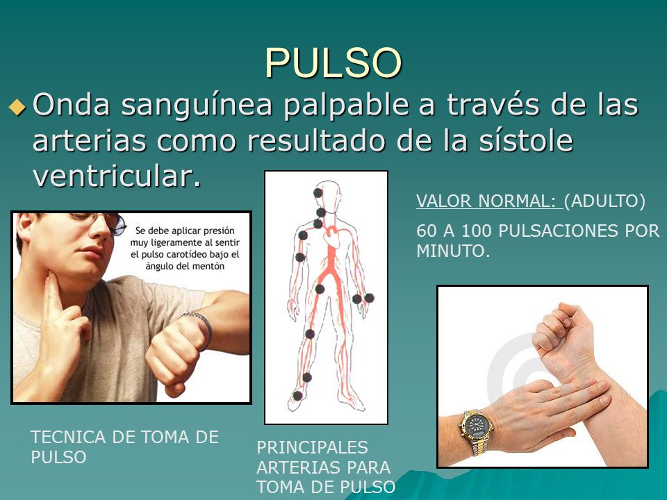 PULSO Onda sanguínea palpable a través de las arterias como resultado de la sístole ventricular. VALOR NORMAL: (ADULTO)