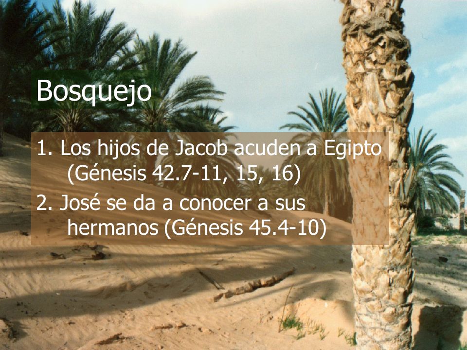 Bosquejo 1. Los hijos de Jacob acuden a Egipto (Génesis , 15, 16) 2.