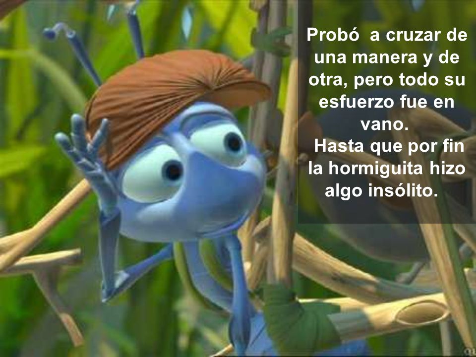 Probó a cruzar de una manera y de otra, pero todo su esfuerzo fue en vano. Hasta que por fin la hormiguita hizo algo insólito.