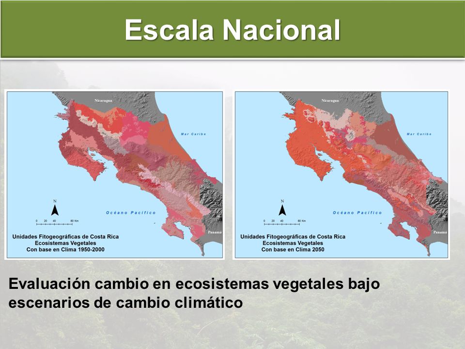 Escala Nacional Evaluación cambio en ecosistemas vegetales bajo escenarios de cambio climático