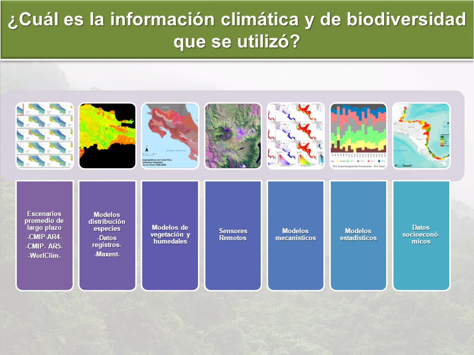 ¿Cuál es la información climática y de biodiversidad que se utilizó