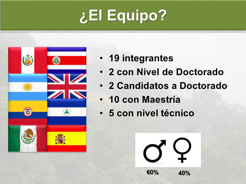 ¿El Equipo 19 integrantes 2 con Nivel de Doctorado