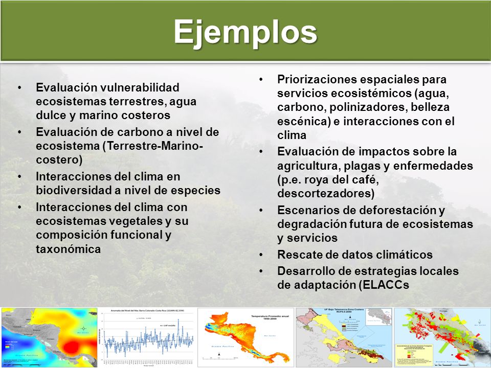 Ejemplos Priorizaciones espaciales para servicios ecosistémicos (agua, carbono, polinizadores, belleza escénica) e interacciones con el clima.