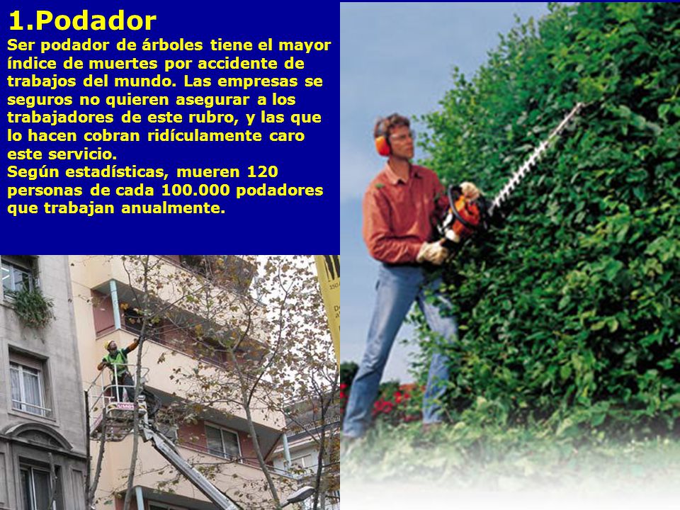 1.Podador Ser podador de árboles tiene el mayor índice de muertes por accidente de trabajos del mundo.