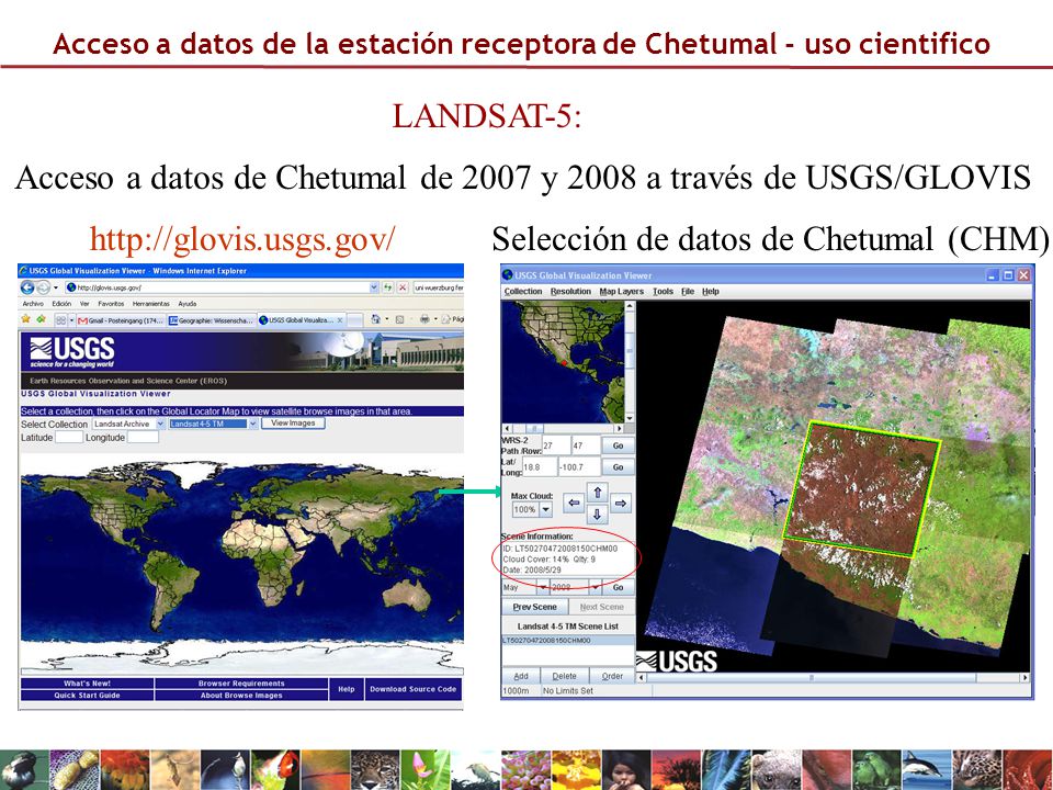 Acceso a datos de Chetumal de 2007 y 2008 a través de USGS/GLOVIS