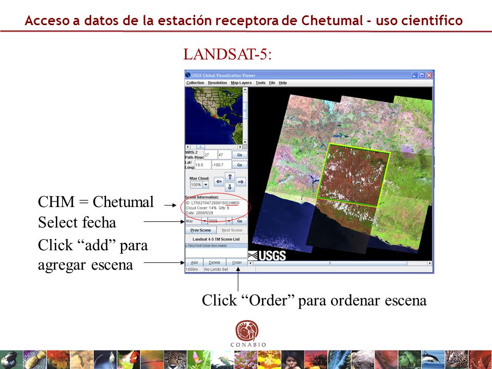 Click Order para ordenar escena
