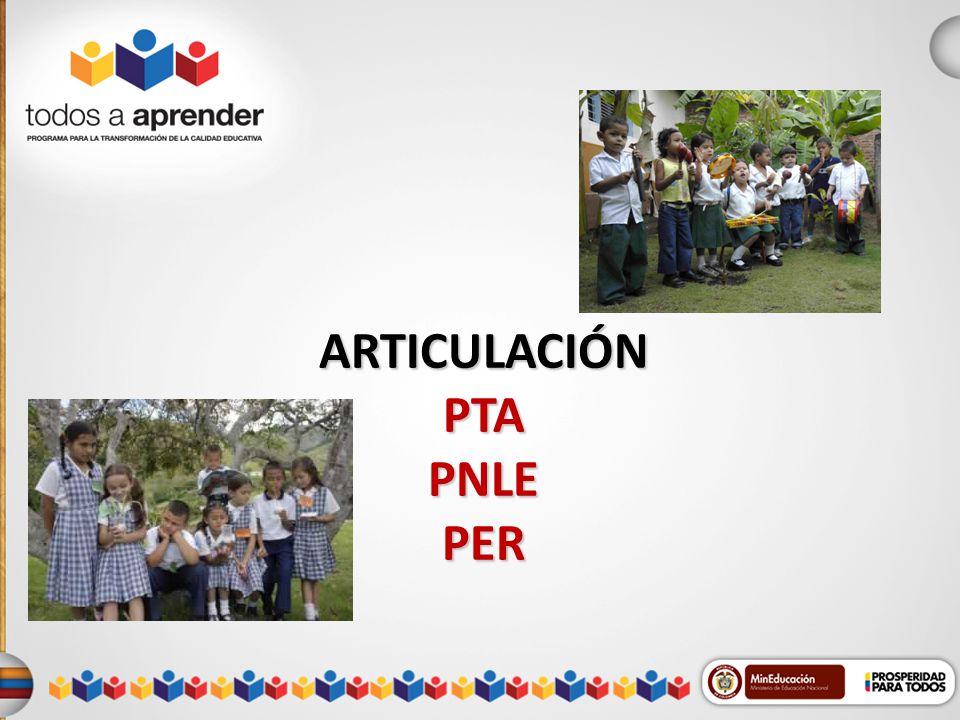 ARTICULACIÓN PTA PNLE PER