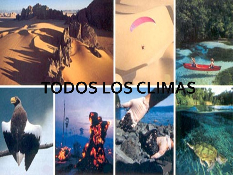 TODOS LOS CLIMAS