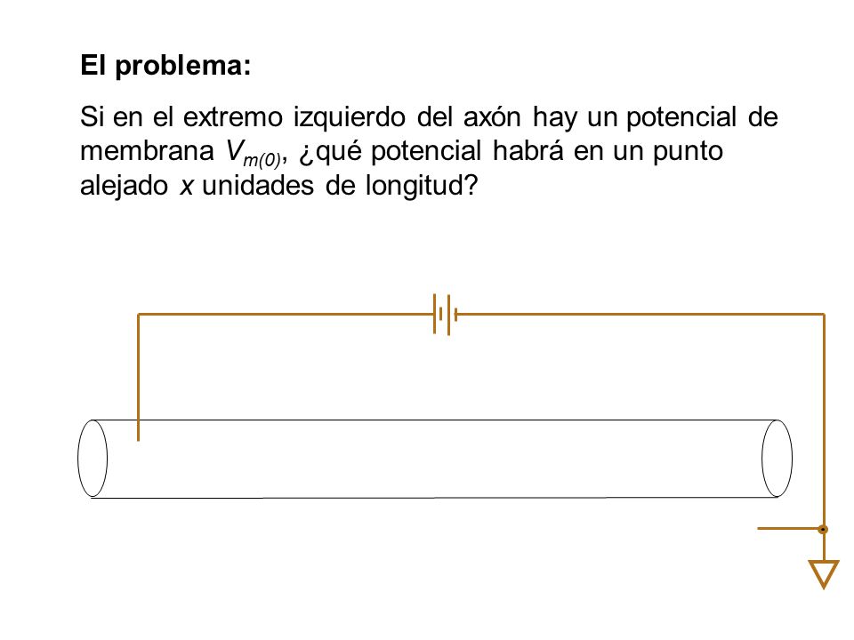 El problema: Si en el extremo izquierdo del axón hay un potencial de membrana Vm(0), ¿qué potencial habrá en un punto alejado x unidades de longitud