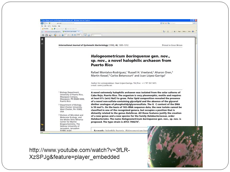 v=3fLR-XzSPJg&feature=player_embedded